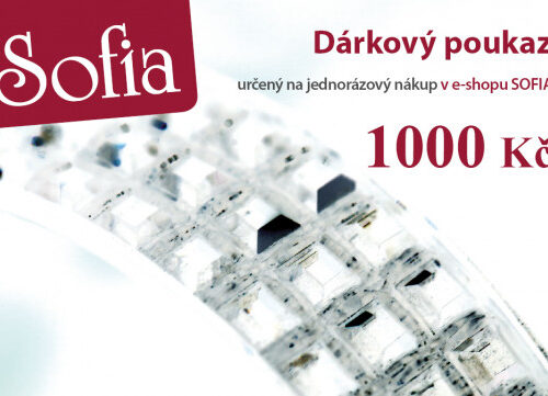 Dárková poukázka v hodnotě 1000 Kč