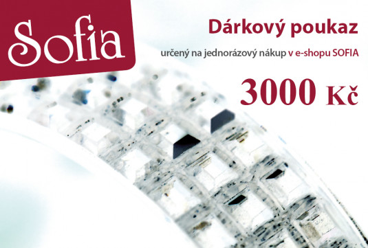 Dárková poukázka v hodnotě 3000 Kč