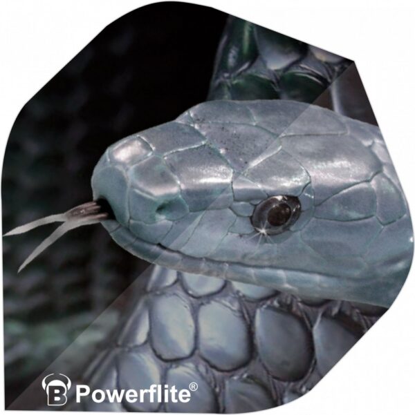 Bull's Darts toll Powerflite