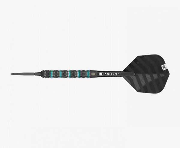DART SZETT STEEL TARGET ROB CROSS