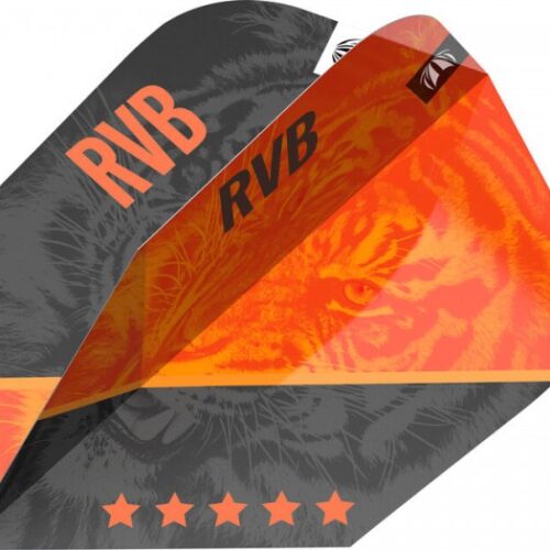 Darts toll Target RVB G4 Pro.Ultra No6