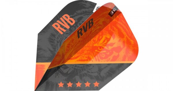 Darts toll Target RVB G4 Pro.Ultra No6