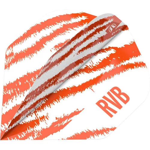DARTS TOLL TARGET RAYMOND VAN BARNEVELD BRASS 2023