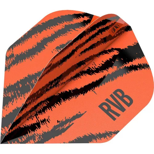 DARTS TOLL TARGET RAYMOND VAN BARNEVELD BRASS 2023