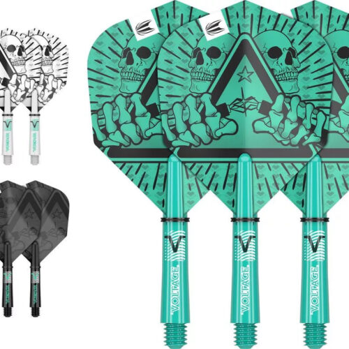 Darts toll+szár Target Rob Cross INK