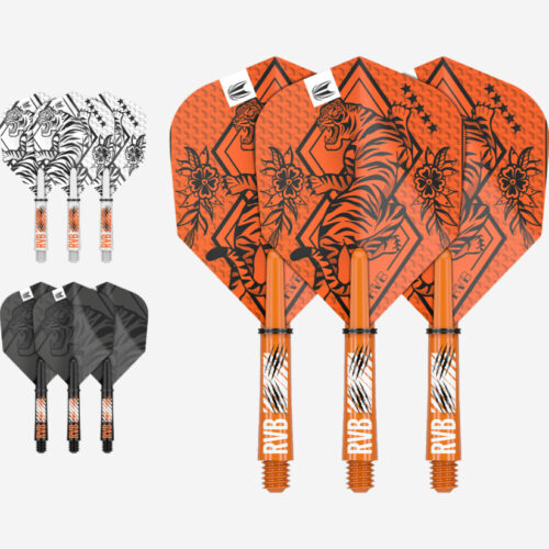 DARTS TOLL+SZÁR TARGET RAYMOND VAN BARNEVELD INK