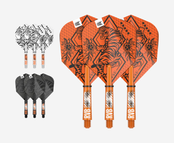 DARTS TOLL+SZÁR TARGET RAYMOND VAN BARNEVELD INK