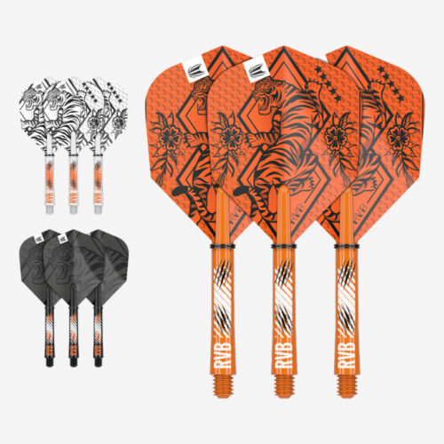 DARTS TOLL+SZÁR TARGET RAYMOND VAN BARNEVELD INK