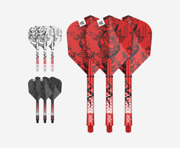 DARTS TOLL+SZÁR TARGET NATHAN ASPINALL INK